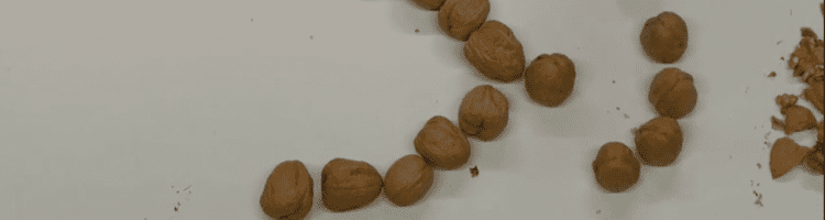 Video: Organisatieopstellingen met een zak walnoten